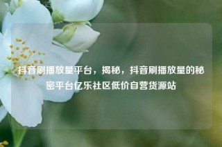 抖音刷播放量平台，揭秘，抖音刷播放量的秘密平台亿乐社区低价自营货源站