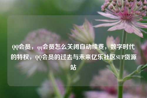 QQ会员	，qq会员怎么关闭自动续费，数字时代的特权，QQ会员的过去与未来亿乐社区SUP货源站  第1张