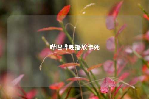 哔哩哔哩播放卡死  第1张