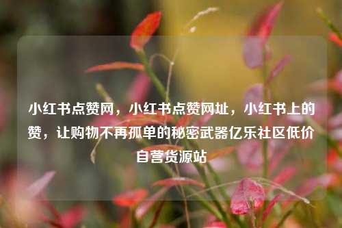 小红书点赞网，小红书点赞网址，小红书上的赞，让购物不再孤单的秘密武器亿乐社区低价自营货源站  第1张