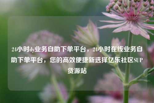 24小时dy业务自助下单平台，24小时在线业务自助下单平台，您的高效便捷新选择亿乐社区SUP货源站  第1张