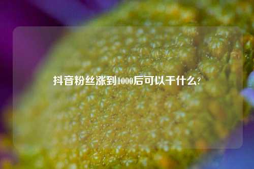 抖音粉丝涨到1000后可以干什么?  第1张