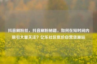 抖音刷粉丝，抖音刷粉秘籍，如何在短时间内吸引大量关注？亿乐社区低价自营货源站