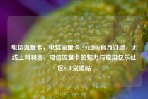 电信流量卡，电信流量卡19元200g官方办理，无线上网利器，电信流量卡的魅力与应用亿乐社区SUP货源站
