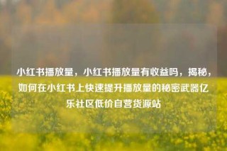 小红书播放量，小红书播放量有收益吗，揭秘，如何在小红书上快速提升播放量的秘密武器亿乐社区低价自营货源站