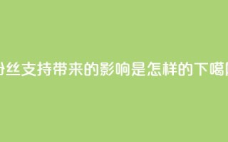 粉丝支持带来的影响是怎样的？