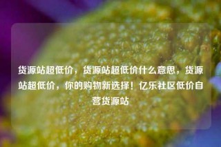 货源站超低价，货源站超低价什么意思，货源站超低价，你的购物新选择！亿乐社区低价自营货源站