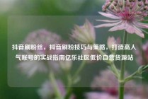 抖音刷粉丝，抖音刷粉技巧与策略，打造高人气账号的实战指南亿乐社区低价自营货源站