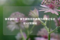 快手刷粉丝，快手刷粉丝的真相与后果亿乐社区SUP货源站