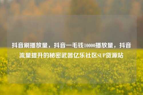抖音刷播放量，抖音一毛钱10000播放量	，抖音流量提升的秘密武器亿乐社区SUP货源站  第1张