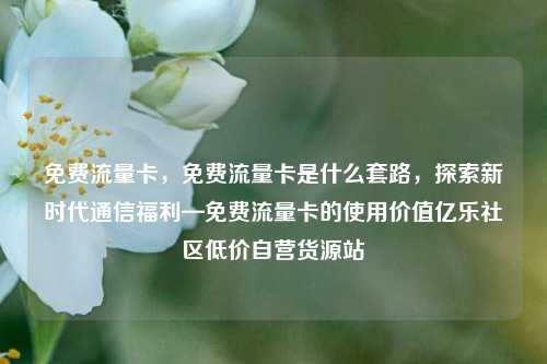 免费流量卡	，免费流量卡是什么套路，探索新时代通信福利—免费流量卡的使用价值亿乐社区低价自营货源站  第1张