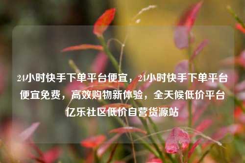 24小时快手下单平台便宜，24小时快手下单平台便宜免费，高效购物新体验	，全天候低价平台亿乐社区低价自营货源站  第1张