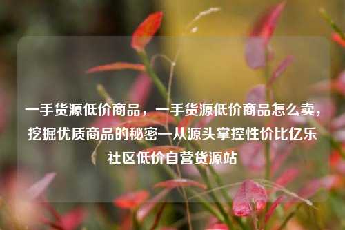 一手货源低价商品，一手货源低价商品怎么卖，挖掘优质商品的秘密—从源头掌控性价比亿乐社区低价自营货源站  第1张