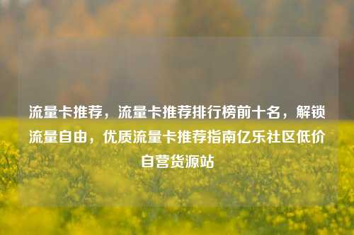 流量卡推荐，流量卡推荐排行榜前十名	，解锁流量自由，优质流量卡推荐指南亿乐社区低价自营货源站  第1张