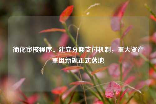 简化审核程序、建立分期支付机制，重大资产重组新规正式落地  第1张