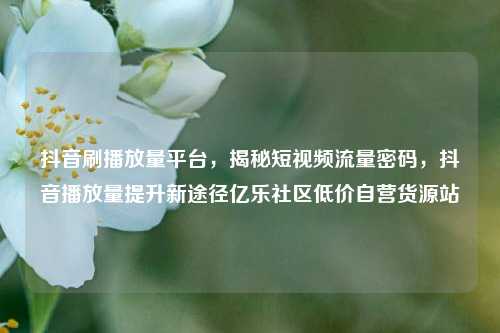 抖音刷播放量平台，揭秘短视频流量密码	，抖音播放量提升新途径亿乐社区低价自营货源站  第1张