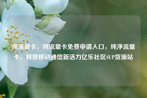 纯流量卡，纯流量卡免费申请入口，纯净流量卡	，释放移动通信新活力亿乐社区SUP货源站  第1张