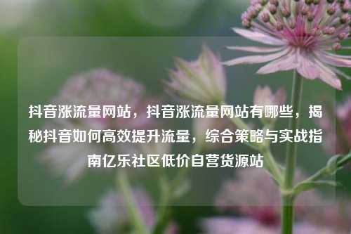 抖音涨流量网站，抖音涨流量网站有哪些，揭秘抖音如何高效提升流量	，综合策略与实战指南亿乐社区低价自营货源站  第1张