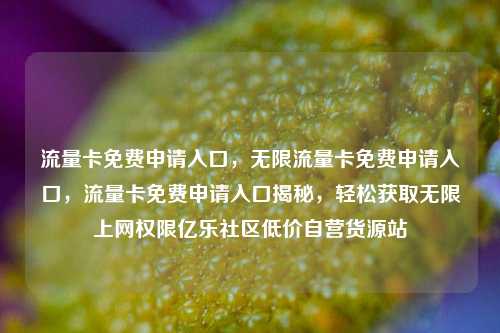 流量卡免费申请入口	，无限流量卡免费申请入口，流量卡免费申请入口揭秘，轻松获取无限上网权限亿乐社区低价自营货源站  第1张