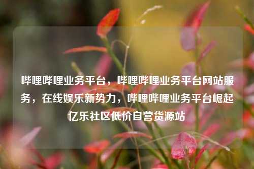 哔哩哔哩业务平台	，哔哩哔哩业务平台网站服务，在线娱乐新势力，哔哩哔哩业务平台崛起亿乐社区低价自营货源站  第1张