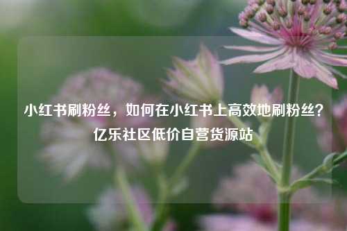 小红书刷粉丝	，如何在小红书上高效地刷粉丝？亿乐社区低价自营货源站  第1张