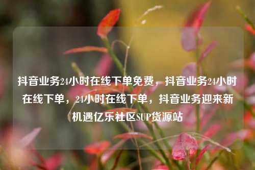 抖音业务24小时在线下单免费，抖音业务24小时在线下单，24小时在线下单	，抖音业务迎来新机遇亿乐社区SUP货源站  第1张