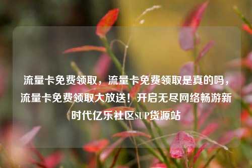 流量卡免费领取	，流量卡免费领取是真的吗，流量卡免费领取大放送！开启无尽网络畅游新时代亿乐社区SUP货源站  第1张