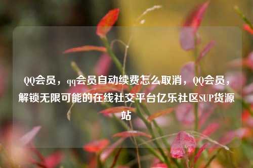 QQ会员，qq会员自动续费怎么取消	，QQ会员，解锁无限可能的在线社交平台亿乐社区SUP货源站  第1张