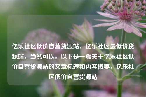 亿乐社区低价自营货源站	，亿乐社区最低价货源站，当然可以。以下是一篇关于亿乐社区低价自营货源站的文章标题和内容概要，亿乐社区低价自营货源站  第1张
