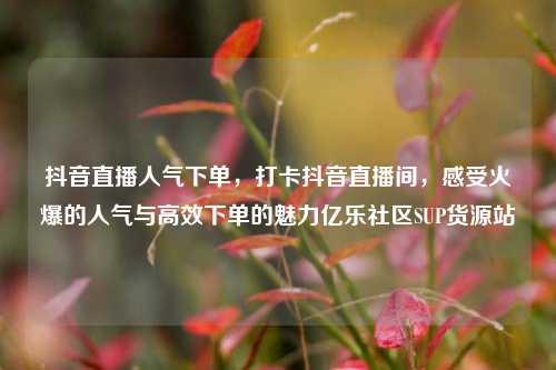 抖音直播人气下单，打卡抖音直播间	，感受火爆的人气与高效下单的魅力亿乐社区SUP货源站  第1张