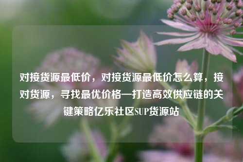 对接货源最低价	，对接货源最低价怎么算，接对货源，寻找最优价格—打造高效供应链的关键策略亿乐社区SUP货源站  第1张