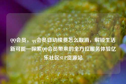 QQ会员，qq会员自动续费怎么取消	，解锁生活新可能—探索QQ会员带来的全方位服务体验亿乐社区SUP货源站  第1张