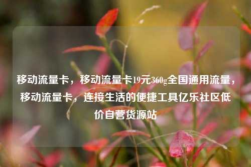 移动流量卡，移动流量卡19元360g全国通用流量，移动流量卡	，连接生活的便捷工具亿乐社区低价自营货源站  第1张