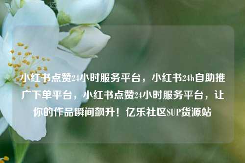 小红书点赞24小时服务平台	，小红书24h自助推广下单平台，小红书点赞24小时服务平台，让你的作品瞬间飙升！亿乐社区SUP货源站  第1张