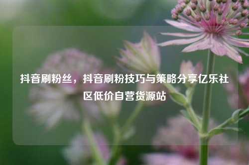 抖音刷粉丝，抖音刷粉技巧与策略分享亿乐社区低价自营货源站  第1张