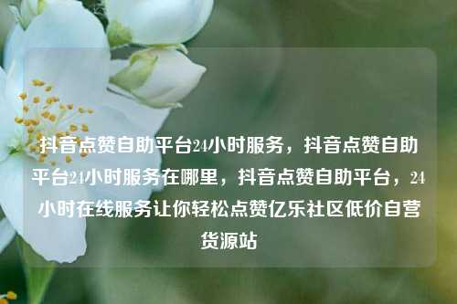 抖音点赞自助平台24小时服务，抖音点赞自助平台24小时服务在哪里，抖音点赞自助平台	，24小时在线服务让你轻松点赞亿乐社区低价自营货源站  第1张