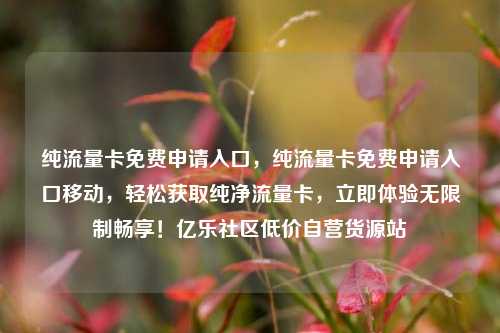纯流量卡免费申请入口，纯流量卡免费申请入口移动，轻松获取纯净流量卡	，立即体验无限制畅享！亿乐社区低价自营货源站  第1张