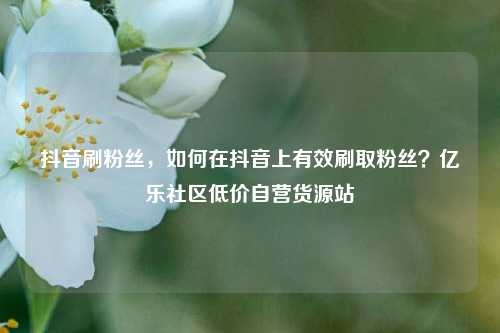 抖音刷粉丝	，如何在抖音上有效刷取粉丝？亿乐社区低价自营货源站  第1张