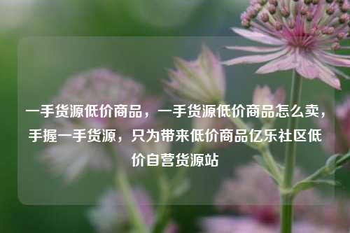 一手货源低价商品	，一手货源低价商品怎么卖，手握一手货源，只为带来低价商品亿乐社区低价自营货源站  第1张