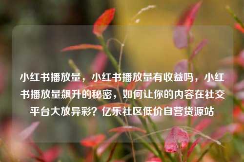 小红书播放量，小红书播放量有收益吗，小红书播放量飙升的秘密，如何让你的内容在社交平台大放异彩？亿乐社区低价自营货源站  第1张