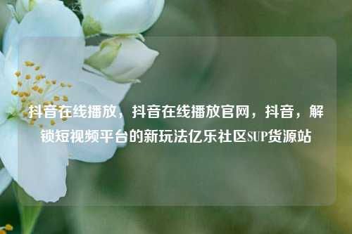 抖音在线播放	，抖音在线播放官网，抖音，解锁短视频平台的新玩法亿乐社区SUP货源站  第1张