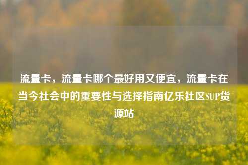 流量卡，流量卡哪个最好用又便宜	，流量卡在当今社会中的重要性与选择指南亿乐社区SUP货源站  第1张