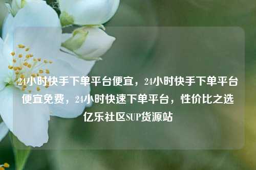 24小时快手下单平台便宜	，24小时快手下单平台便宜免费，24小时快速下单平台，性价比之选亿乐社区SUP货源站  第1张