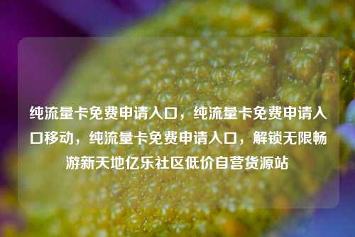 纯流量卡免费申请入口，纯流量卡免费申请入口移动，纯流量卡免费申请入口	，解锁无限畅游新天地亿乐社区低价自营货源站  第1张