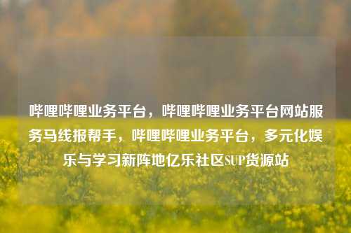 哔哩哔哩业务平台	，哔哩哔哩业务平台网站服务马线报帮手，哔哩哔哩业务平台，多元化娱乐与学习新阵地亿乐社区SUP货源站  第1张