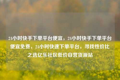 24小时快手下单平台便宜	，24小时快手下单平台便宜免费，24小时快速下单平台，寻找性价比之选亿乐社区低价自营货源站  第1张