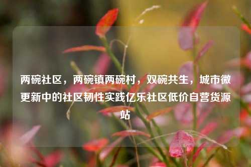 两碗社区，两碗镇两碗村	，双碗共生，城市微更新中的社区韧性实践亿乐社区低价自营货源站  第1张